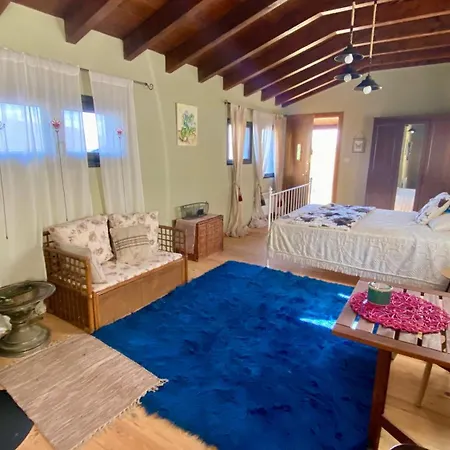 Little Garden * Περιβολάκι